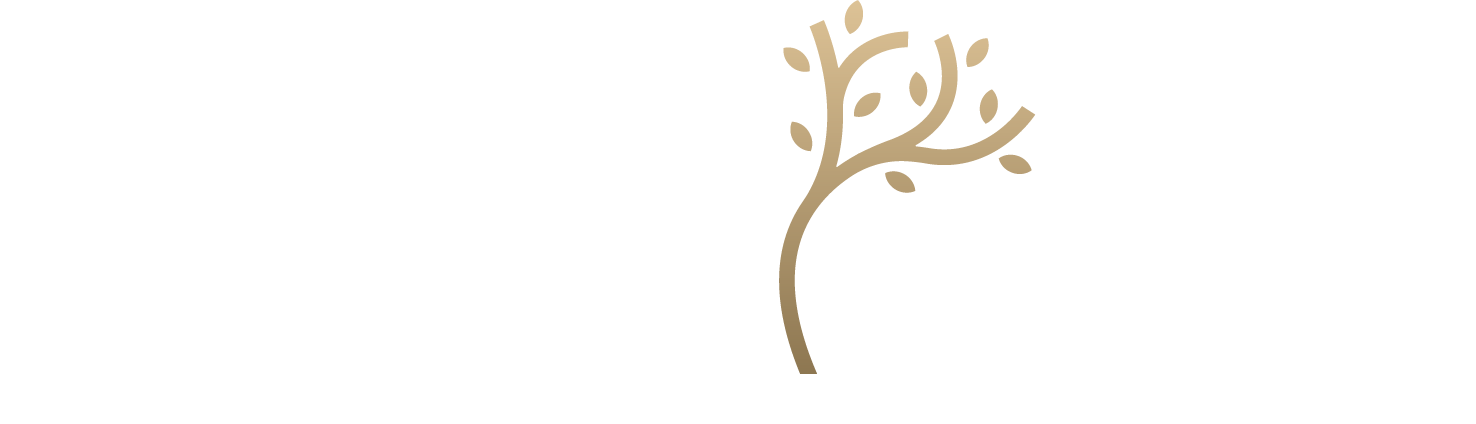 Therapy Avenue